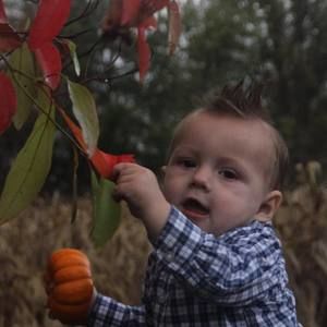 Meet your Posher, Susan